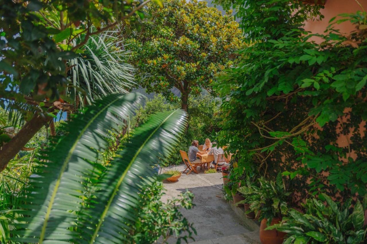 Madeira Surf Lodge Sao Vicente  Ngoại thất bức ảnh